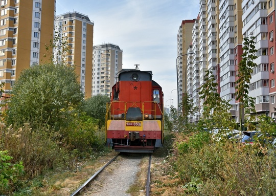 ПОДКРАДУЛЯ 🚂 
А в Железнодорожном поезда между домами крадутся..