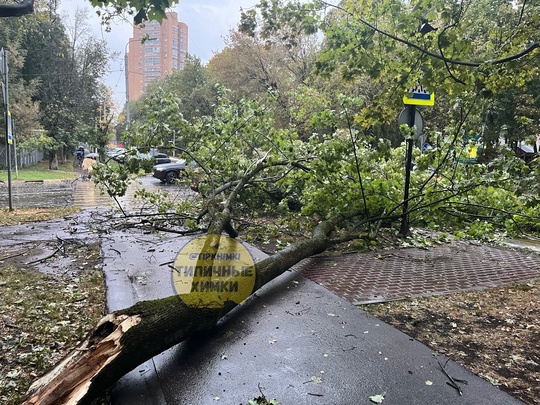 ❗️Только что на пересечении Кудрявцева и Ленинского упало..