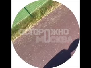 ⚡️В Подмосковье эвакуировали школу

Очевидцы сообщают об..