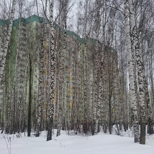 И это Долгопрудный. 💚
Лётное поле...