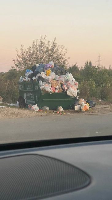 д.Беляниново, ул.Центральная, возле 9ти этажки планируют ставить..