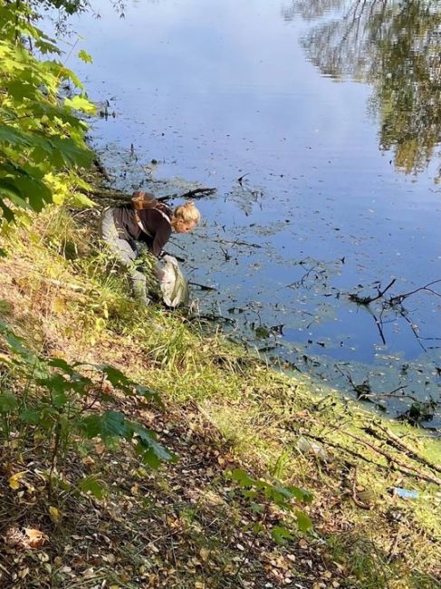 🔷Во время субботника в Долгопрудном в Хлебниковский пруд..