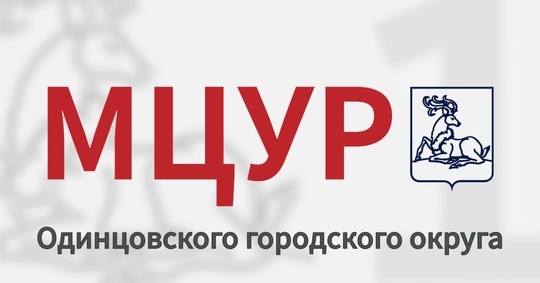 В Одинцовском округе с конца августа обустроили 27 пунктов приема..