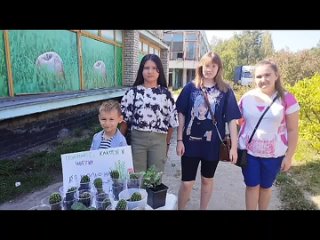 🌵 🧦 6-летний коломенец продает кактусы, чтобы купить..