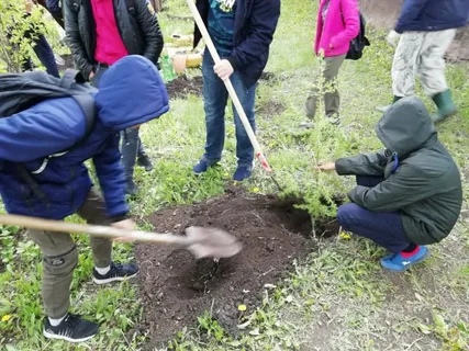 🌳 «День в лесу. Сохраним лес вместе»: 
жители Долгопрудного..