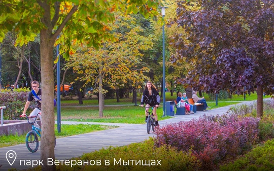 От губернатора Подмосковья:

Прошёл День благоустройства..