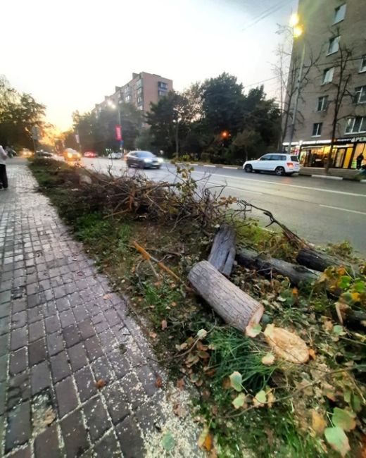 ДЕРЕВЬЯ БОЛЕЮТ И ПОГИБАЮТ 😓
Анонимно
Администрация города..