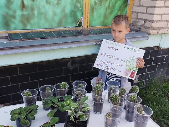 🌵 🧦 6-летний коломенец продает кактусы, чтобы купить..