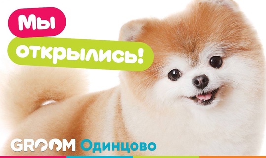 Хозяин, стричься не пора?🐶

Именно эту фразу сказала бы Ваша..