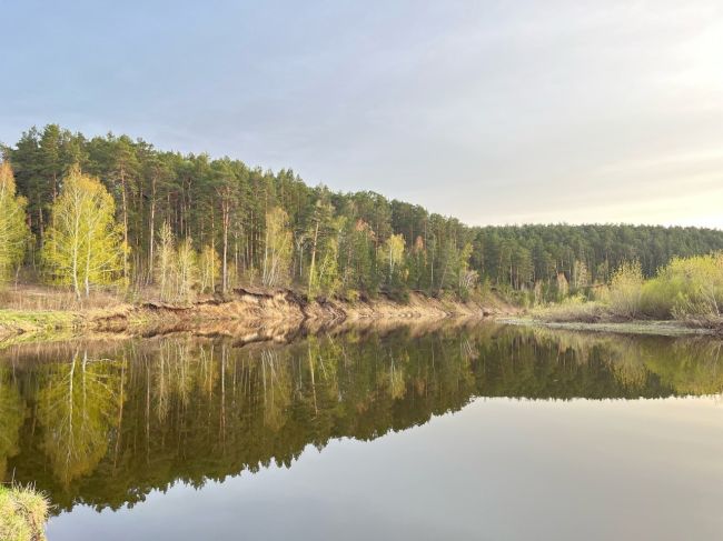 Красота природы 🌲🌳🌿

Фото: Наталья..