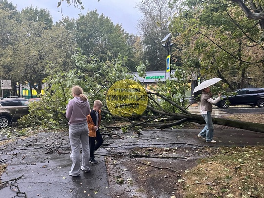 ❗️Только что на пересечении Кудрявцева и Ленинского упало..