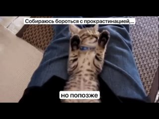 Сегодня День борьбы с прокрастинацией

Отложим празднование на..