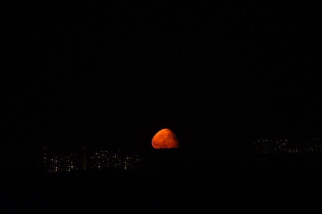 КРАСИВАЯ ЛУНА НАД БАЛАШИХОЙ 🌙
Главный (единственный? хД) плюс..