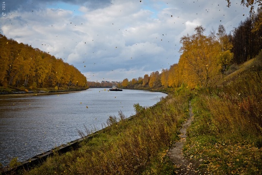 Доброе утро, Долгопрудный! 🍁
Сегодня:
+18+20 небольшие дожди.  🌧

🍂..