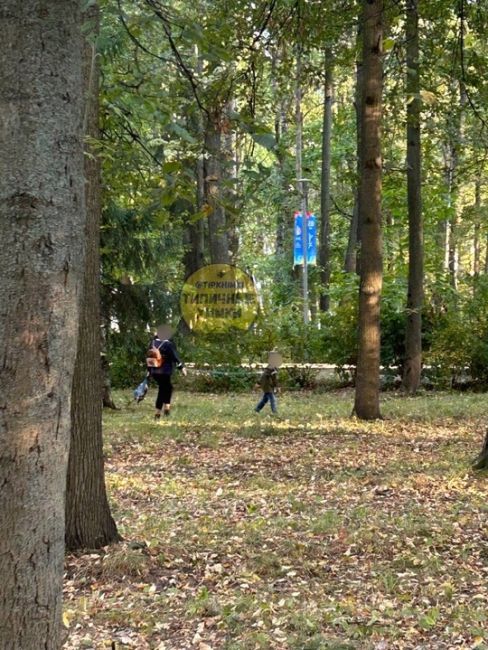 В парке Толстого детей выгуливают на поводке. Очередные..