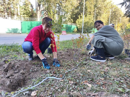 21.09.24. жители дома № 33 на улице Лихачевское шоссе провели..