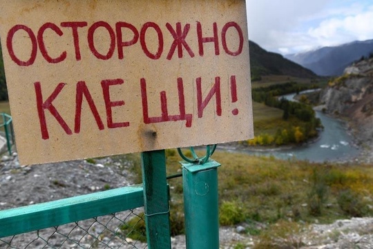 ❗️В Москве наступила вторая фаза активности клещей

Эксперты предупреждают, что..