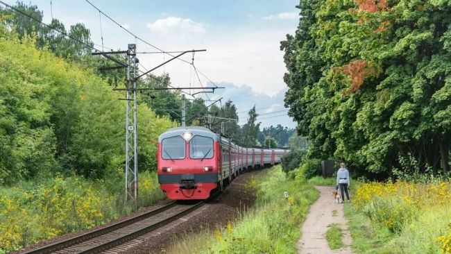 За сутки в Московской области под колёсами электричек погибло..