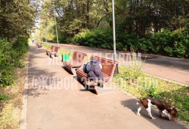 🍺Парк в Зеленограде, расположенный рядом с городским советом,..