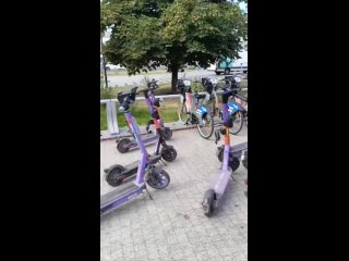 🛴В Москве можно увидеть настоящее нашествие..