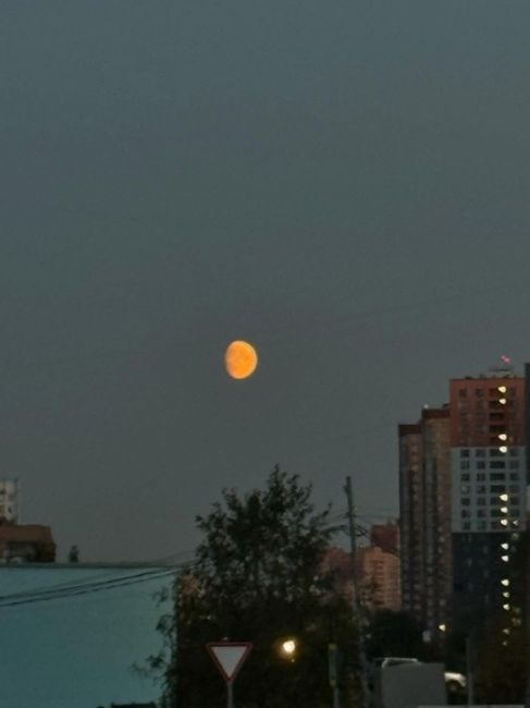 Прекрасная Луна с ул.Марии Рубцовой 🌚

Фото -..