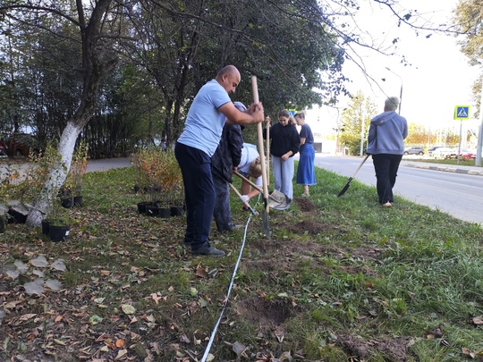 21.09.24. жители дома № 33 на улице Лихачевское шоссе провели..