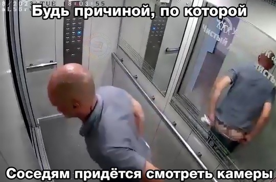 😅Эх, голубое! Как же удивительно, что на камеры всегда попадают..