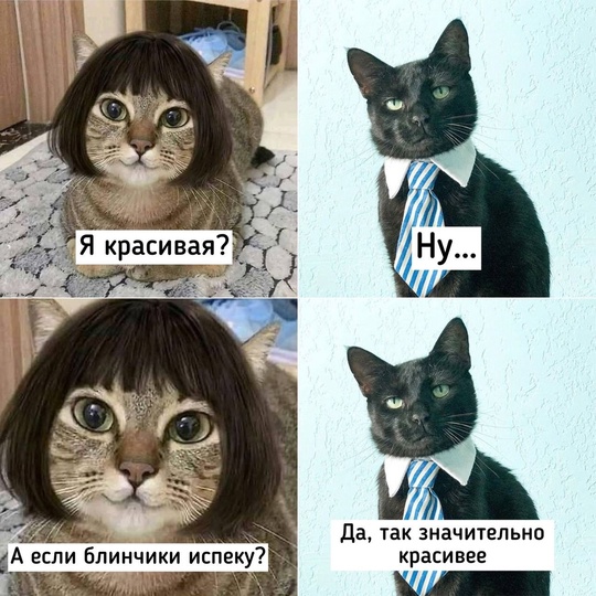 Сегодня отмечается Международный день..