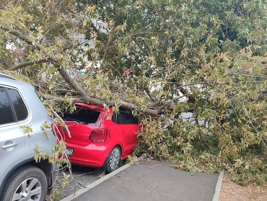 ⛈️Дожди и сильный ветер ожидаются в Москве и Подмосковье на выходных. До вечера..