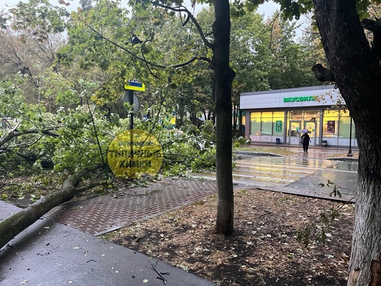 ❗️Только что на пересечении Кудрявцева и Ленинского упало..