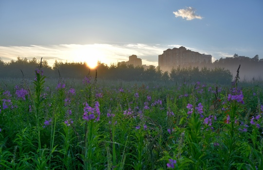 БАЛАШИХА - В ЧИСЛЕ САМЫХ ЗЕЛЁНЫХ ГОРОДОВ РОССИИ 🌳
Балашиха вошла..