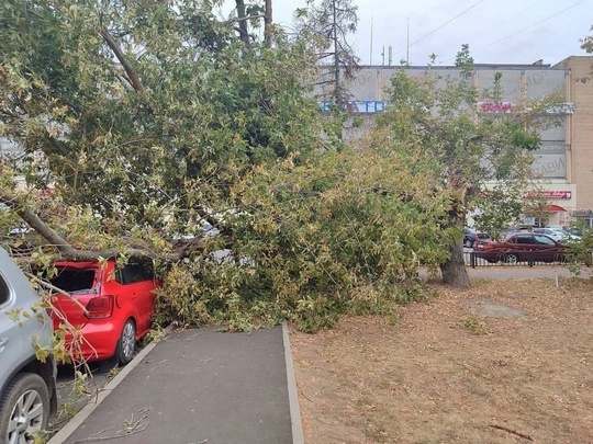 ⛈️Дожди и сильный ветер ожидаются в Москве и Подмосковье на выходных. До вечера..