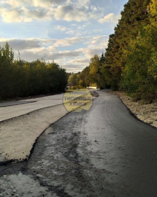 Новая асфальтовая трасса для лыжников в Химкинском лесу станет..