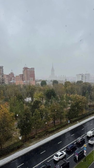 В Московской области и Москве выпал первый снег ❄️ 
Вот и..