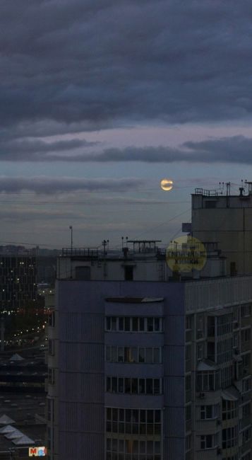 🌕 Полная Луна появилась в небе над Химками

Сегодняшнее..