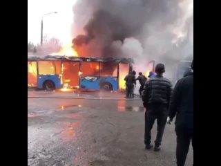 🔥 В автобусном парке Видного сгорело 4 автобуса

Утром водитель сел в автобус,..