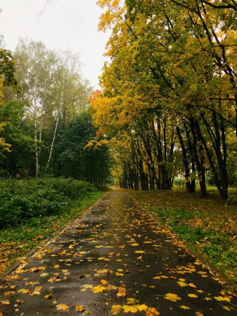 Каждый год в этом месте видно наступление осени, с четкими..