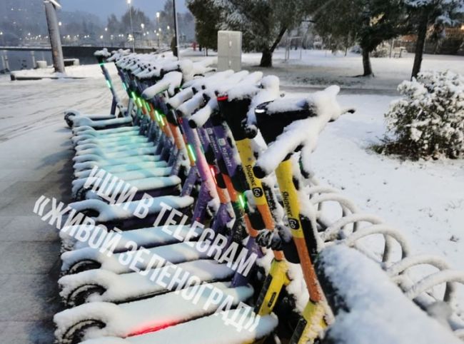 🛴Самокаты сгрустнули в 15-м мкр, из-за плохой погоды

ТГК Живой..