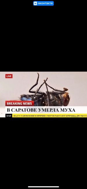 Часть береговой территории озера «Паулюса» вернули государству..