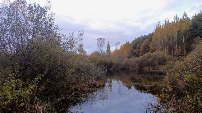 Еще немного прекрасных воскресных видов..