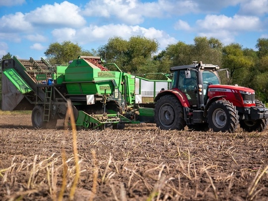 🥕🥔🚜 В городском округе Коломна завершают уборку урожая...