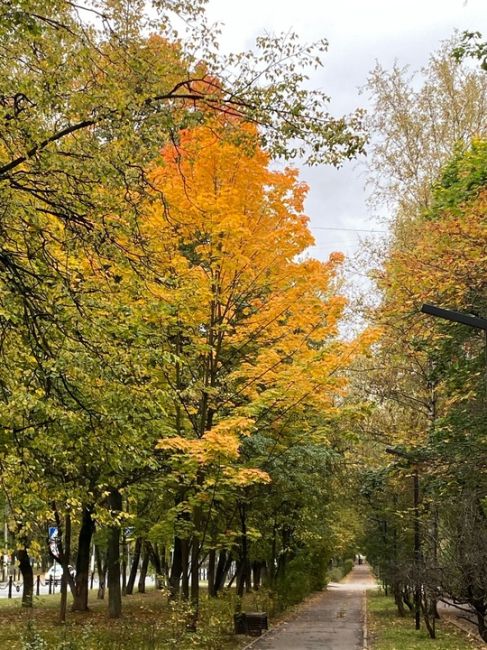 Осень в Долгопрудном - просто сказка ❤️

Ждём Ваши фото в..