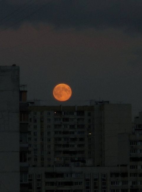 🌕На небе появилась «охотничья Луна»

Спутник уже очень хорошо виден на небе,..