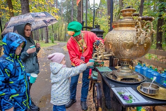 В парке «Раздолье» открылся «Зоотеррий» - дом для животных..