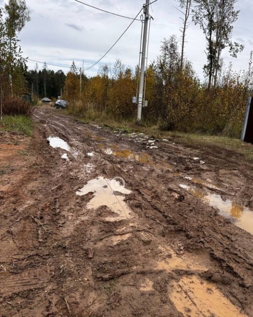 Одинцовским многодетным семьям не могут сделать дорогу к их..