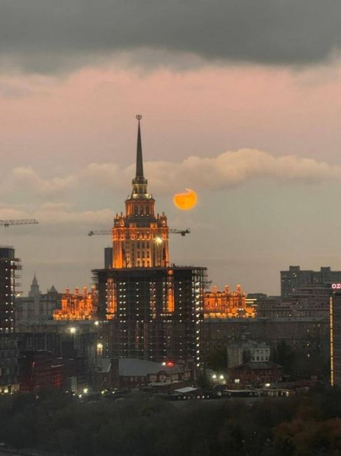 🌕На небе появилась «охотничья Луна»

Спутник уже очень хорошо виден на небе,..