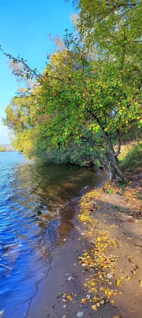 Осень в Долгопрудном - просто сказка ❤️

Ждём Ваши фото в..