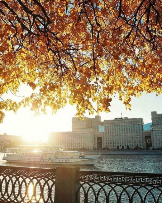 🍁Очей очарованье! «Пушкинская осень» придет в Москву в конце октября 

Следующая..