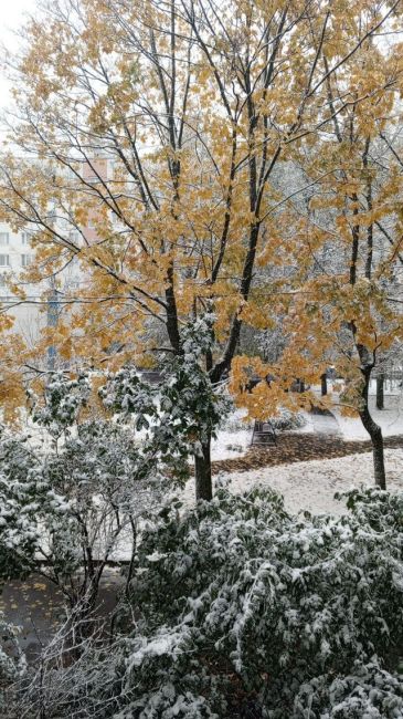 ❄Когда синоптики сообщили, что менять резину ещё рано, я был..