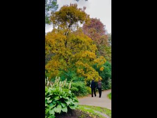 🍁Осень в «Аптекарском огороде»

Save as... 
Видео:..